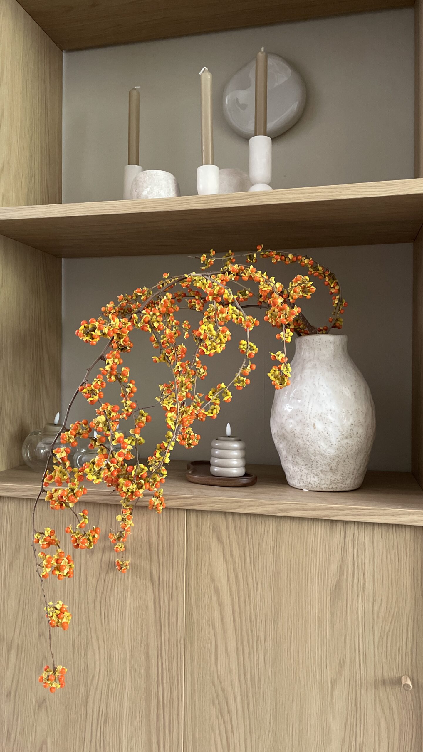 celastrus in vaas vakkenkast