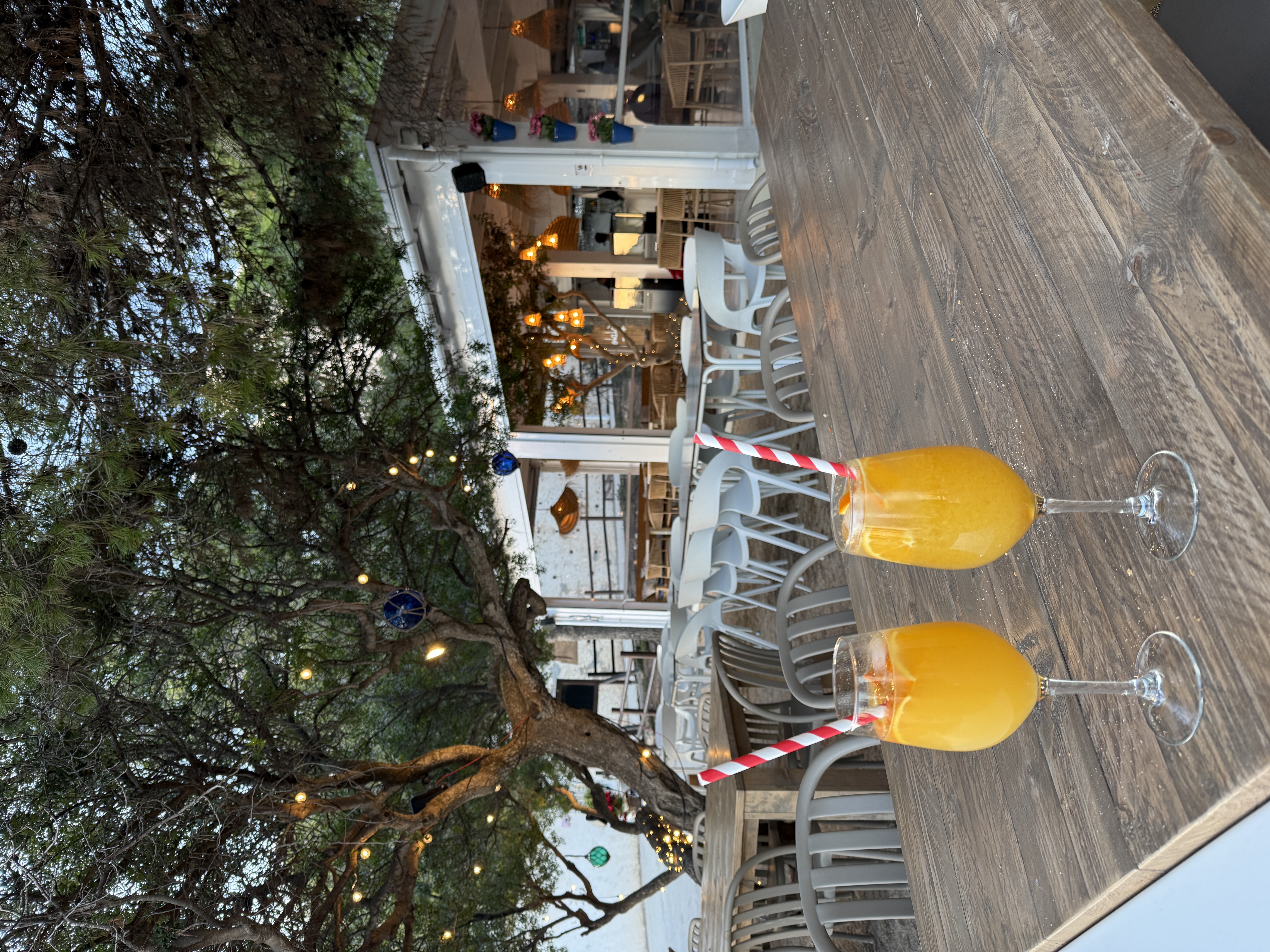 costa blanca overwinteren costa blanca benissa