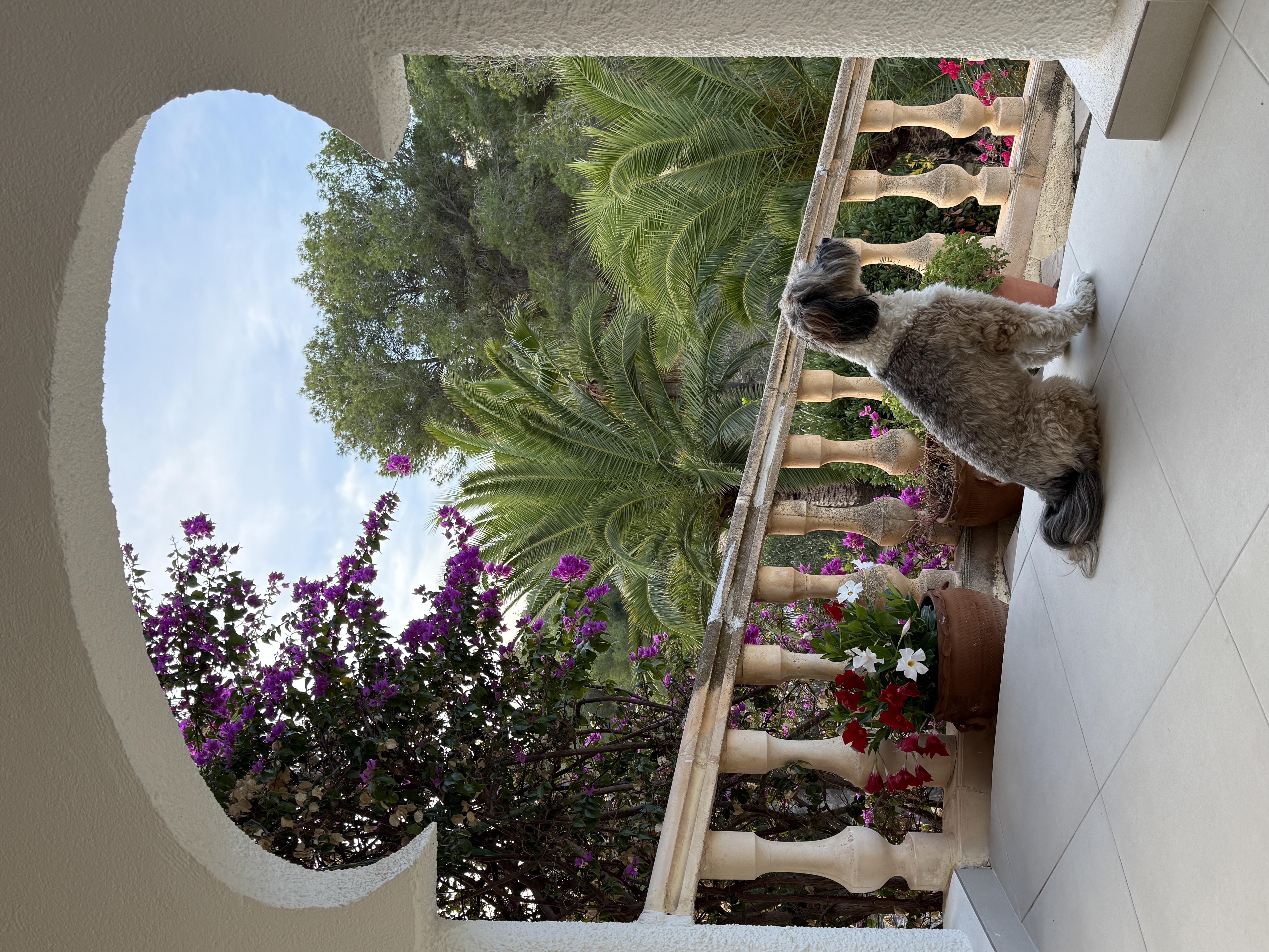 overwinteren met hond costa blancaJPG