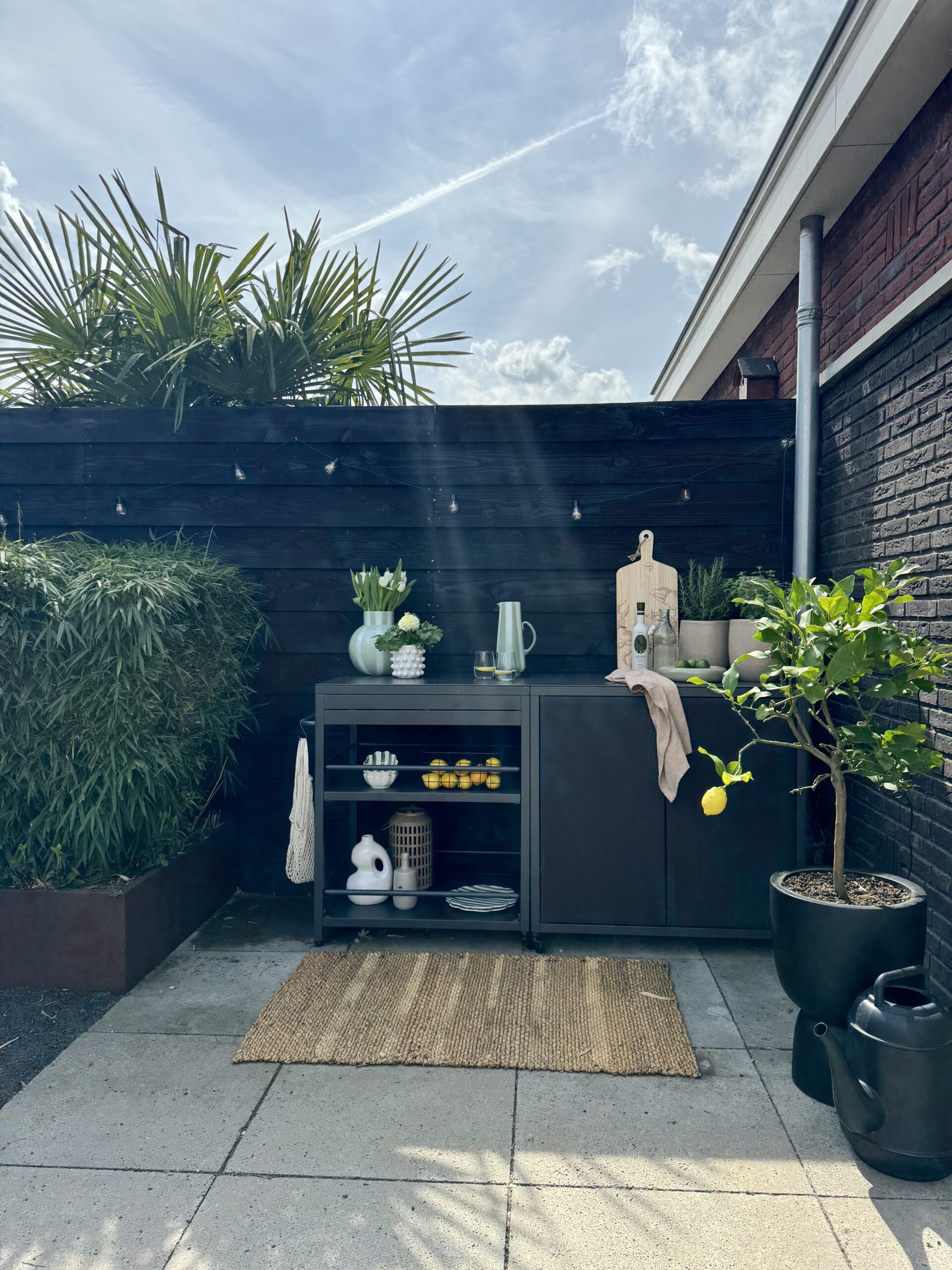 borrel in de tuin buitenkeuken